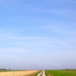 path field