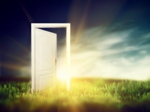 Open door on the green field. Conceptual